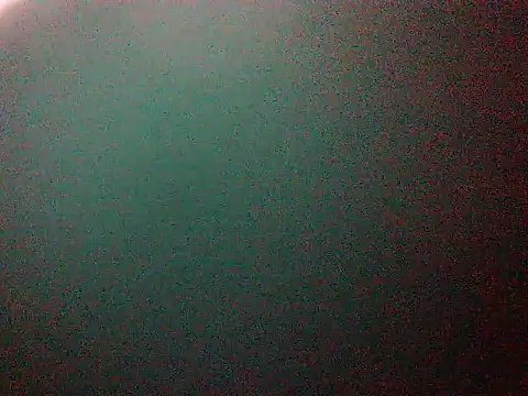 Snapshot of mumbi91 chatting on 01-11-25, 01:59 mumbi91 online show from 01-11-25, 01:59