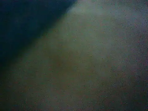 Snapshot of mumbi91 chatting on 01-16-25, 04:38 mumbi91 online show from 01-16-25, 04:38