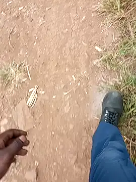 bigdicktaoni online show from 12-11-24, 11:30