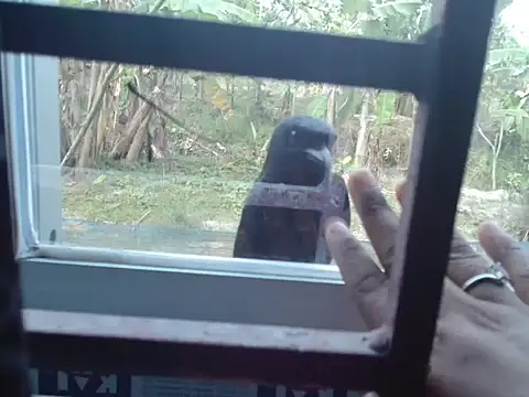 Unlucky-flowers online show from 03-15-26, 07:36