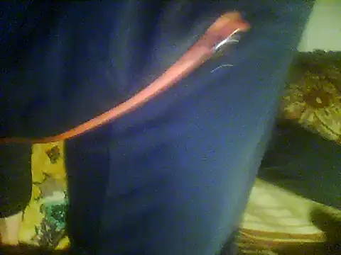 Rejtelmesest online show from 03-22-25, 10:04