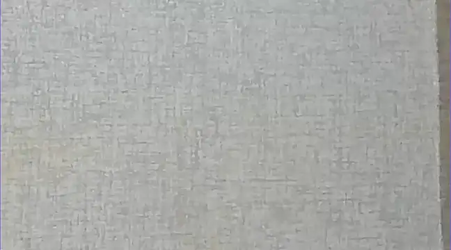 Snapshot of Ricardogo19 chatting on 12-27-24, 03:09 Ricardogo19 online show from 12-27-24, 03:09