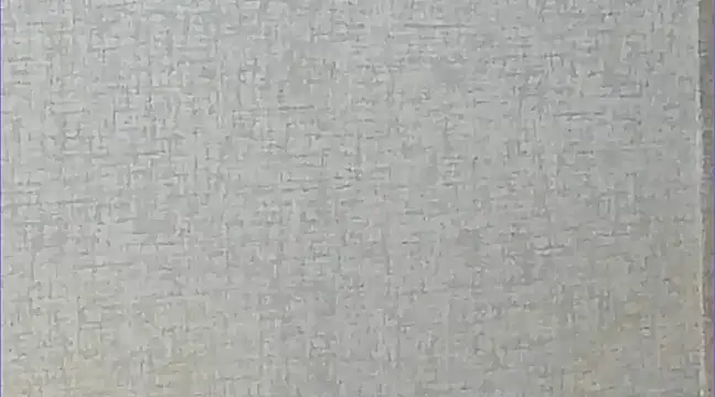 Snapshot of Ricardogo19 chatting on 03-22-25, 02:37 Ricardogo19 online show from 03-22-25, 02:37