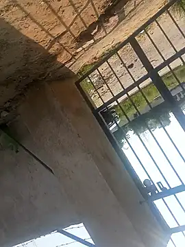 rjxraj online show from 10-23-25, 04:34