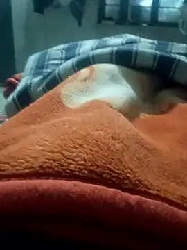 Snapshot of rjxraj chatting on 01-11-26, 03:17 rjxraj online show from 01-11-26, 03:17