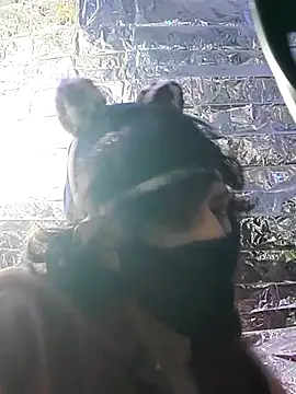 gurlnips online show from 03-22-25, 06:54