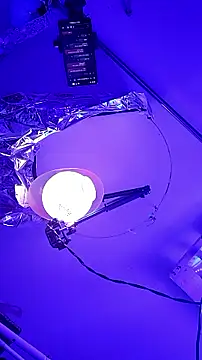 gurlnips online show from 09-26-25, 09:57