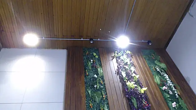 Snapshot of DrakeNeumann chatting on 02-05-25, 11:06 DrakeNeumann online show from 02-05-25, 11:06