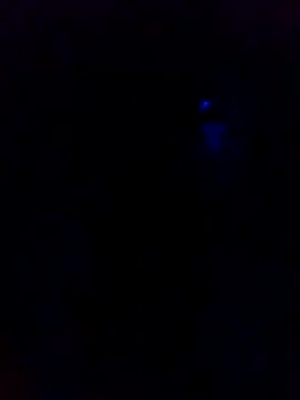 Snapshot of dotado20robson chatting on 02-16-26, 04:41 dotado20robson online show from 02-16-26, 04:41