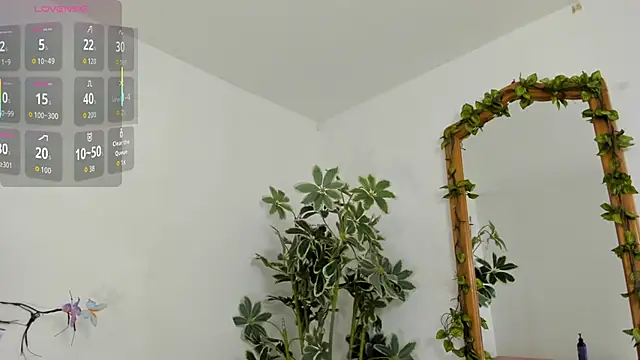 ShegoBlake online show from 11-26-25, 12:11