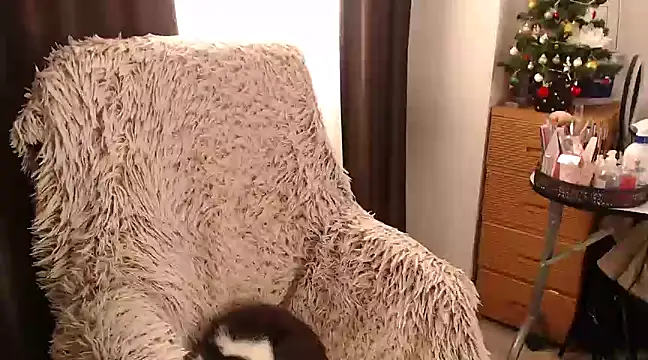 Goddessmxx online show from 12-13-24, 11:55