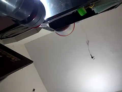 bigvorn6 online show from 03-29-26, 06:24