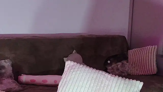 Eva Millar online show from 02-21-26, 08:26