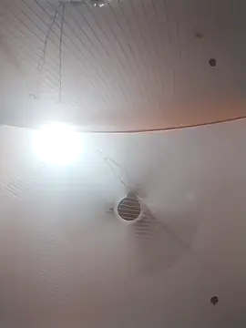 Nzfl97 online show from 03-30-26, 04:52