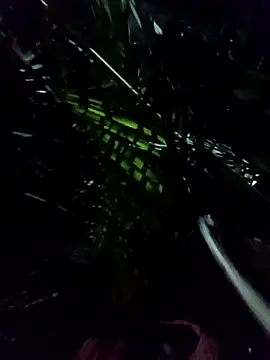 Snapshot of mis312 chatting on 01-08-26, 05:10 mis312 online show from 01-08-26, 05:10