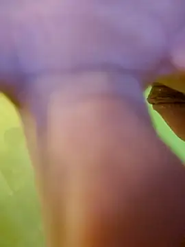 jorwee online show from 01-15-25, 07:26