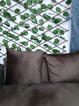 Bold-Cat online show from 12-05-24, 11:07