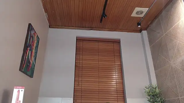 Ian Daviz online show from 02-24-25, 01:57