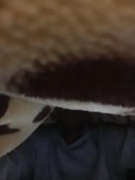 Snapshot of WrongedParvo chatting on 11-23-25, 11:48 WrongedParvo online show from 11-23-25, 11:48