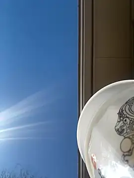 Snapshot of SmokingSloth chatting on 03-02-25, 07:56 SmokingSloth online show from 03-02-25, 07:56