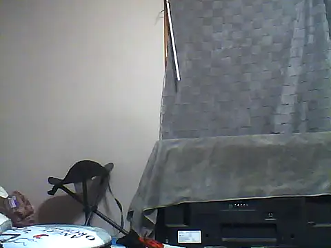 Snapshot of SmokingSloth chatting on 12-05-25, 12:25 SmokingSloth online show from 12-05-25, 12:25