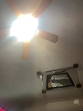 Snapshot of SmokingSloth chatting on 02-06-26, 02:31 SmokingSloth online show from 02-06-26, 02:31