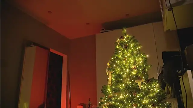 Snapshot of Arianna_Richi chatting on 12-30-24, 08:54 Arianna Richi online show from 12-30-24, 08:54