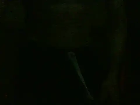 Snapshot of dangerman94 chatting on 10-22-25, 02:34 dangerman94 online show from 10-22-25, 02:34