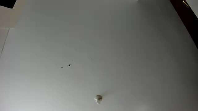 Snapshot of evely_coelloo chatting on 11-05-25, 04:07 evely coelloo online show from 11-05-25, 04:07