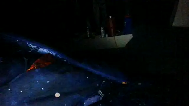 toast843 online show from 02-09-25, 06:22