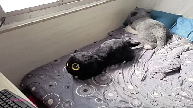 Big19Asia online show from 09-18-25, 01:18