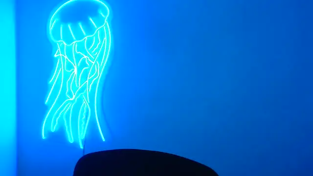 Snapshot of Fantasy_July chatting on 03-17-25, 09:33 Fantasy July online show from 03-17-25, 09:33