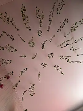 Snapshot of -Sexy_Barbie- chatting on 02-25-25, 03:31 -Sexy Barbie- online show from 02-25-25, 03:31