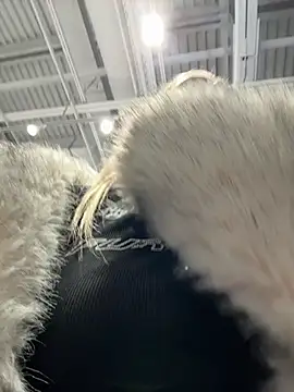 Snapshot of -Sexy_Barbie- chatting on 03-05-25, 12:55 -Sexy Barbie- online show from 03-05-25, 12:55