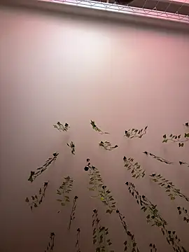 Snapshot of -Sexy_Barbie- chatting on 03-11-25, 02:43 -Sexy Barbie- online show from 03-11-25, 02:43