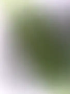 Snapshot of mrwright878787 chatting on 12-27-24, 07:14 mrwright878787 online show from 12-27-24, 07:14