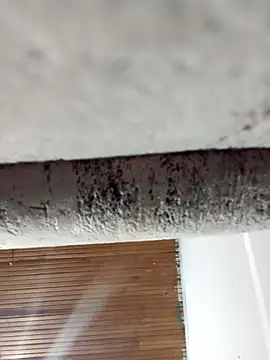 dulce celeste15 online show from 03-31-26, 01:40