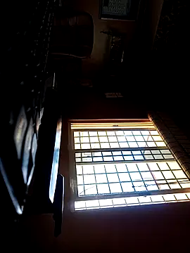 daddy indian online show from 03-20-25, 07:14