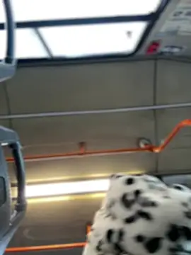 Milkyy wway online show from 01-19-25, 07:36