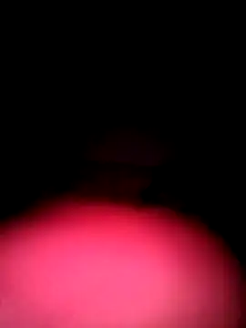 Porco81cazzo online show from 12-04-25, 03:38