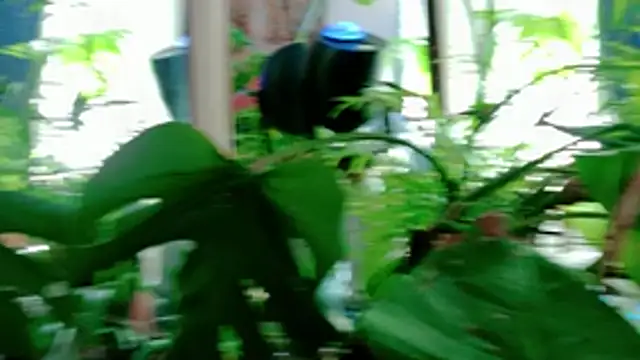 NinasNylonz online show from 04-22-26, 11:39