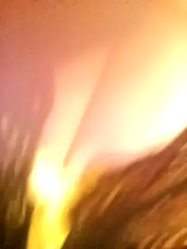 Snapshot of JAWHARA_ chatting on 12-14-25, 10:03 JAWHARA online show from 12-14-25, 10:03