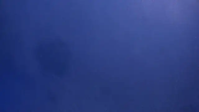 Snapshot of celestelewis chatting on 03-19-25, 07:49 celestelewis online show from 03-19-25, 07:49