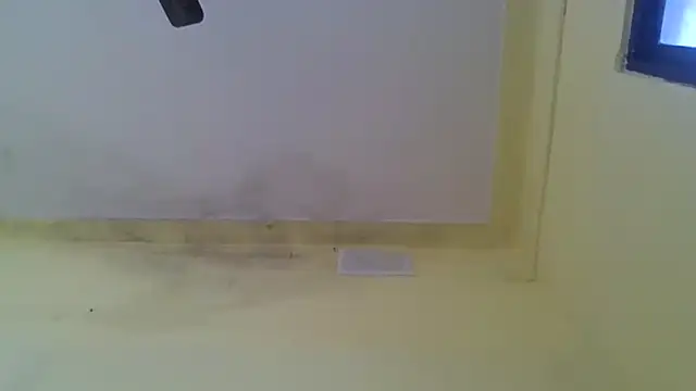 Snapshot of Nitya-Mahesh chatting on 01-20-25, 09:24 Nitya-Mahesh online show from 01-20-25, 09:24