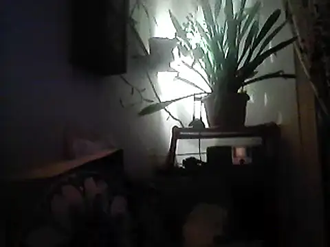 Bigpenis6y online show from 12-30-24, 03:57