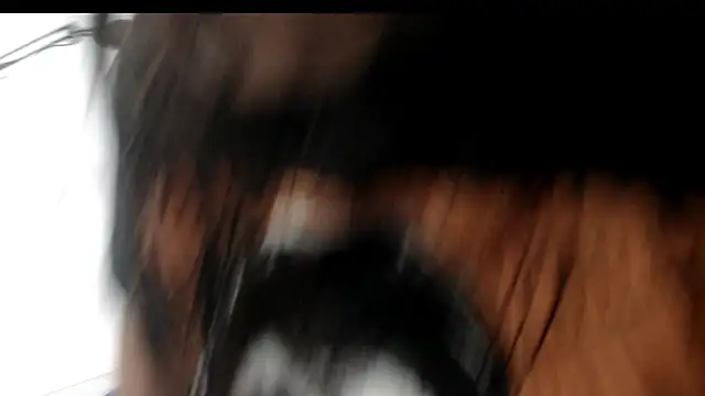 Snapshot of evaleribigtits18 chatting on 11-24-25, 07:13 evaleribigtits18 online show from 11-24-25, 07:13