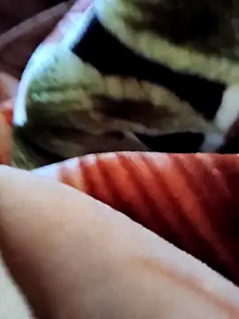 yhona darling online show from 12-19-25, 05:36