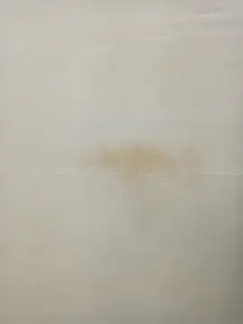 Snapshot of Rina777o chatting on 01-27-25, 06:31 Rina777o online show from 01-27-25, 06:31