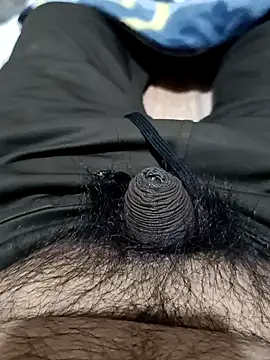 punjabimunda28 online show from 01-27-25, 04:52