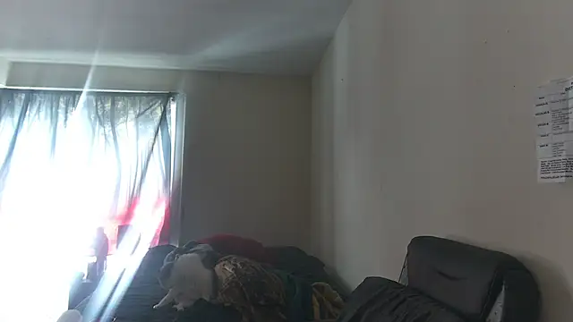 Snapshot of RickStone51 chatting on 03-02-26, 07:21 RickStone51 online show from 03-02-26, 07:21